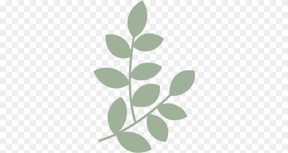 Graphic 4 600 B Illustration, Herbs, Herbal, Plant, Leaf Png Image