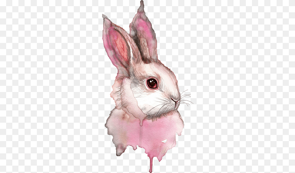 Graphic Black And White Library Sketch Painting Rabbit Drawing, Animal, Bird, Mammal Free Transparent Png