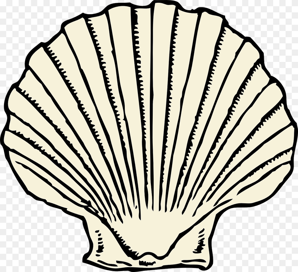 Graphic Black And White Stock Scallop Shell Outline Scallop Clipart, Animal, Clam, Food, Invertebrate Free Transparent Png