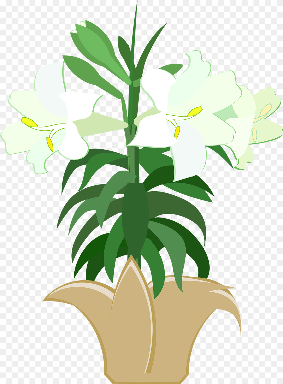 Graphic Clipart, Flower, Plant, Potted Plant, Lily Free Transparent Png