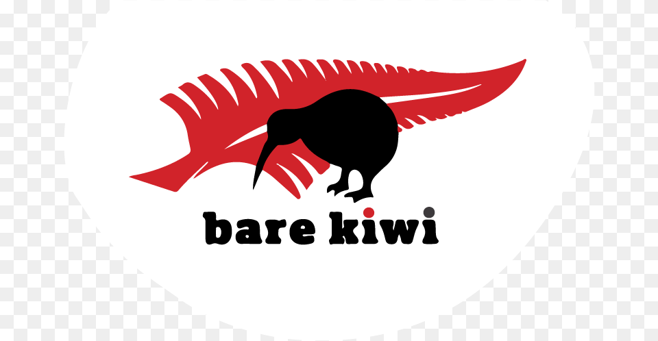 Graphic Design, Animal, Bird, Kiwi Bird Free Png Download