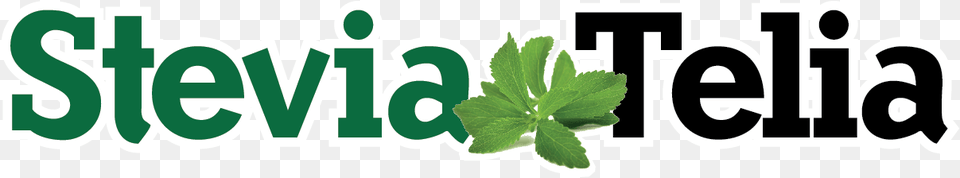 Graphic Design, Green, Herbal, Herbs, Leaf Free Transparent Png