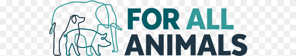 Graphic Design, Text Free Png