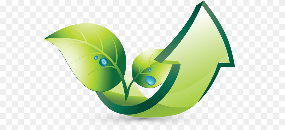 Graphic Design, Green, Art, Graphics, Flower Png Image