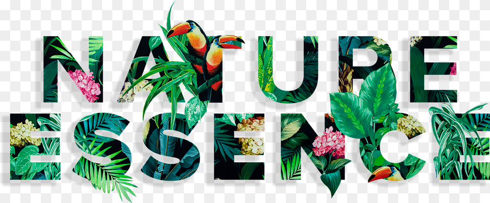 Graphic Design, Vegetation, Tree, Rainforest, Plant Png