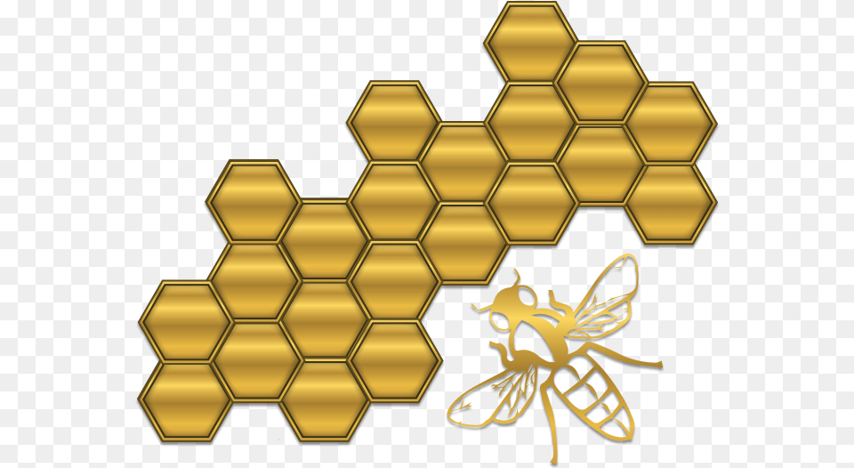 Graphic Design, Food, Honey, Honeycomb, Invertebrate Png