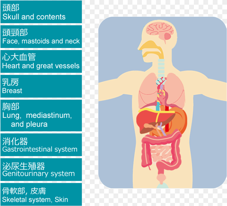 Graphic Design, Person, Body Part, Face, Head Free Png Download