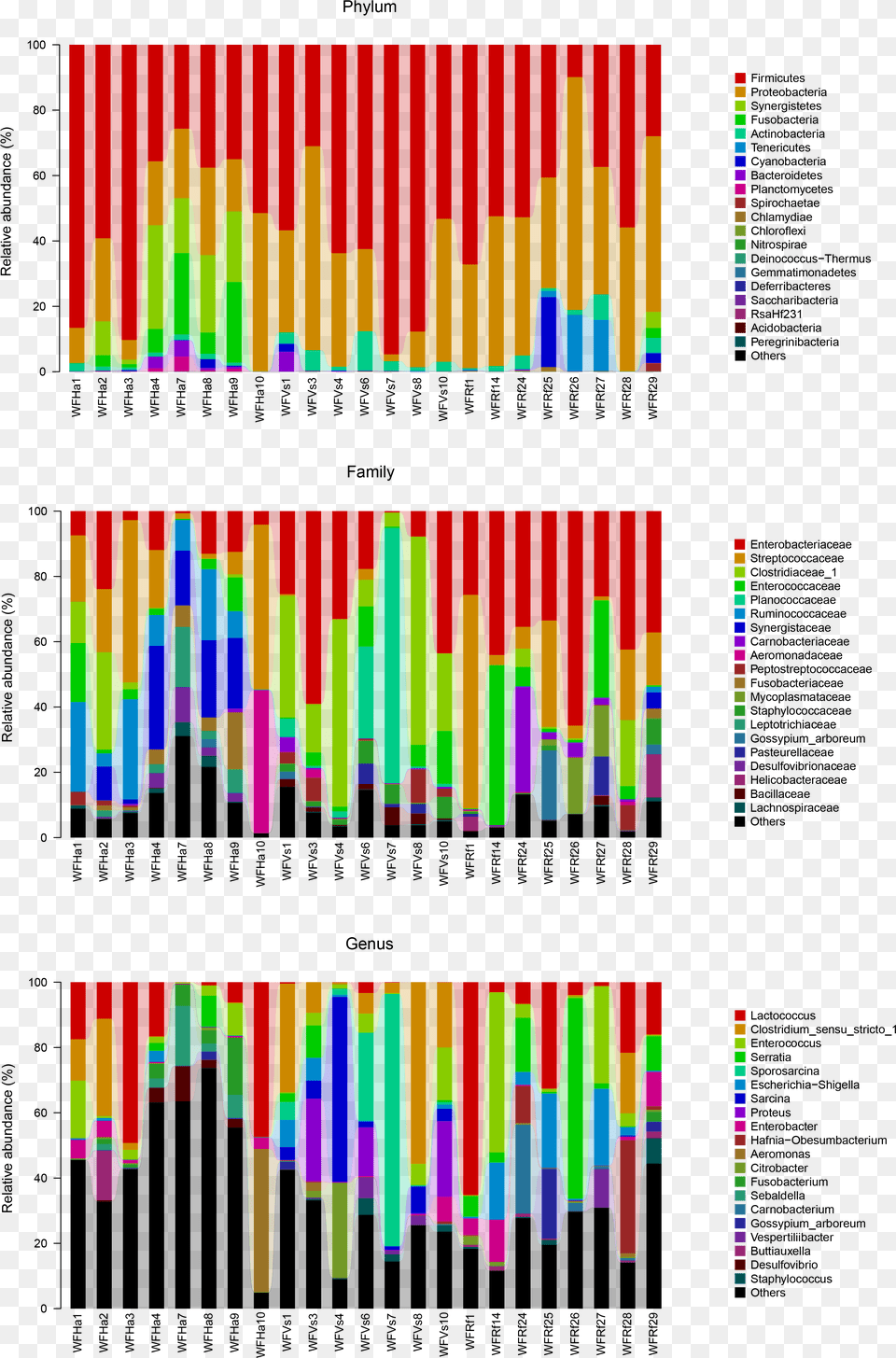 Graphic Design, Chart Png