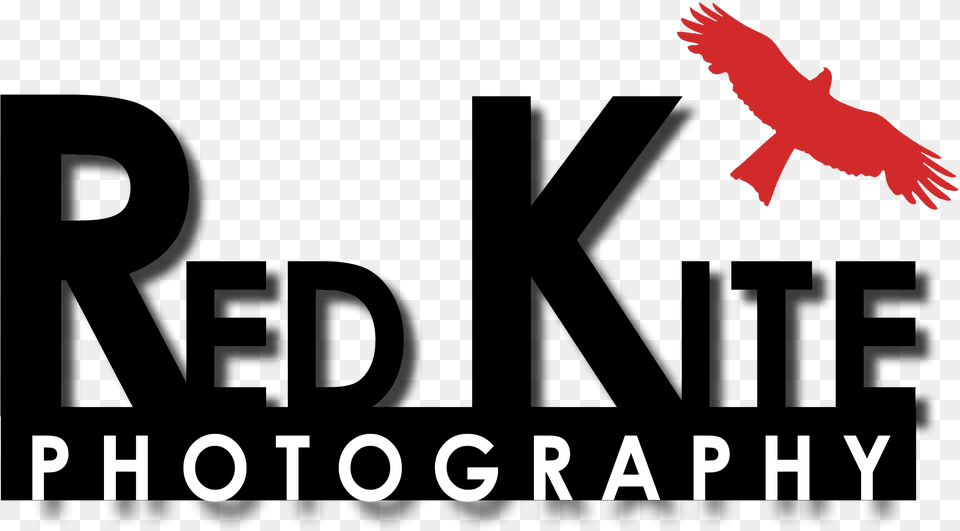 Graphic Design, Animal, Bird, Flying, Kite Bird Free Png Download