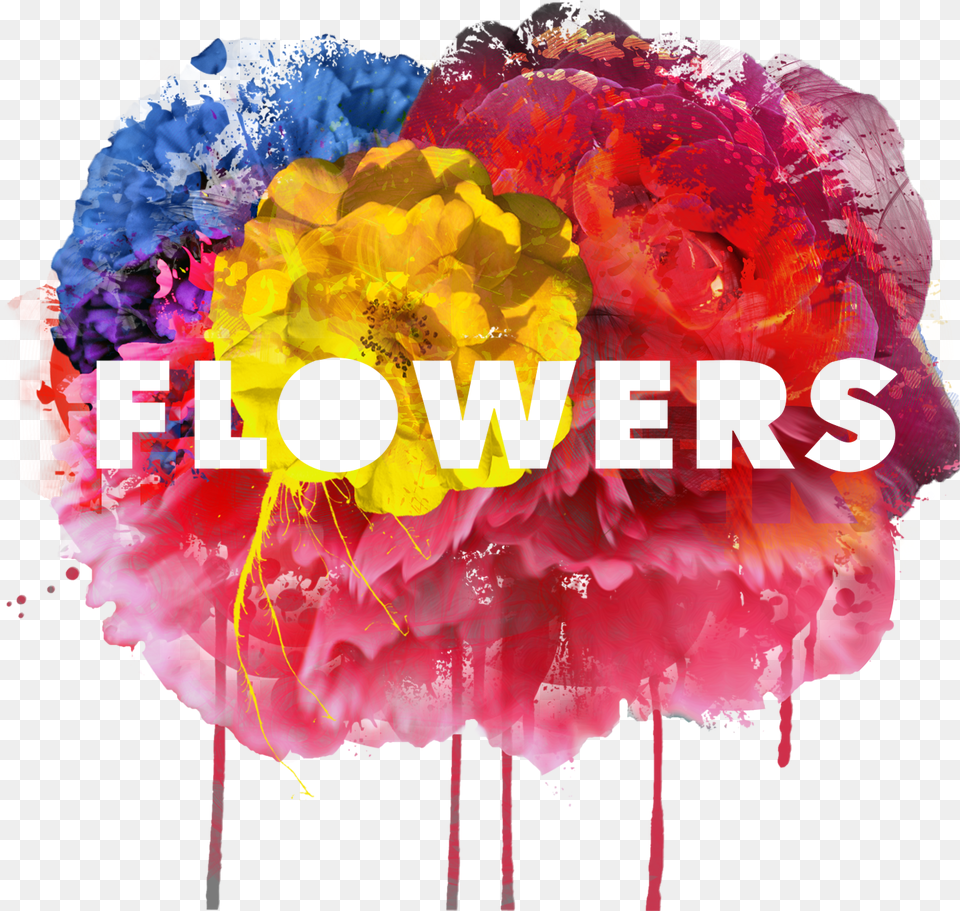 Graphic Design, Art, Graphics, Flower, Plant Free Transparent Png