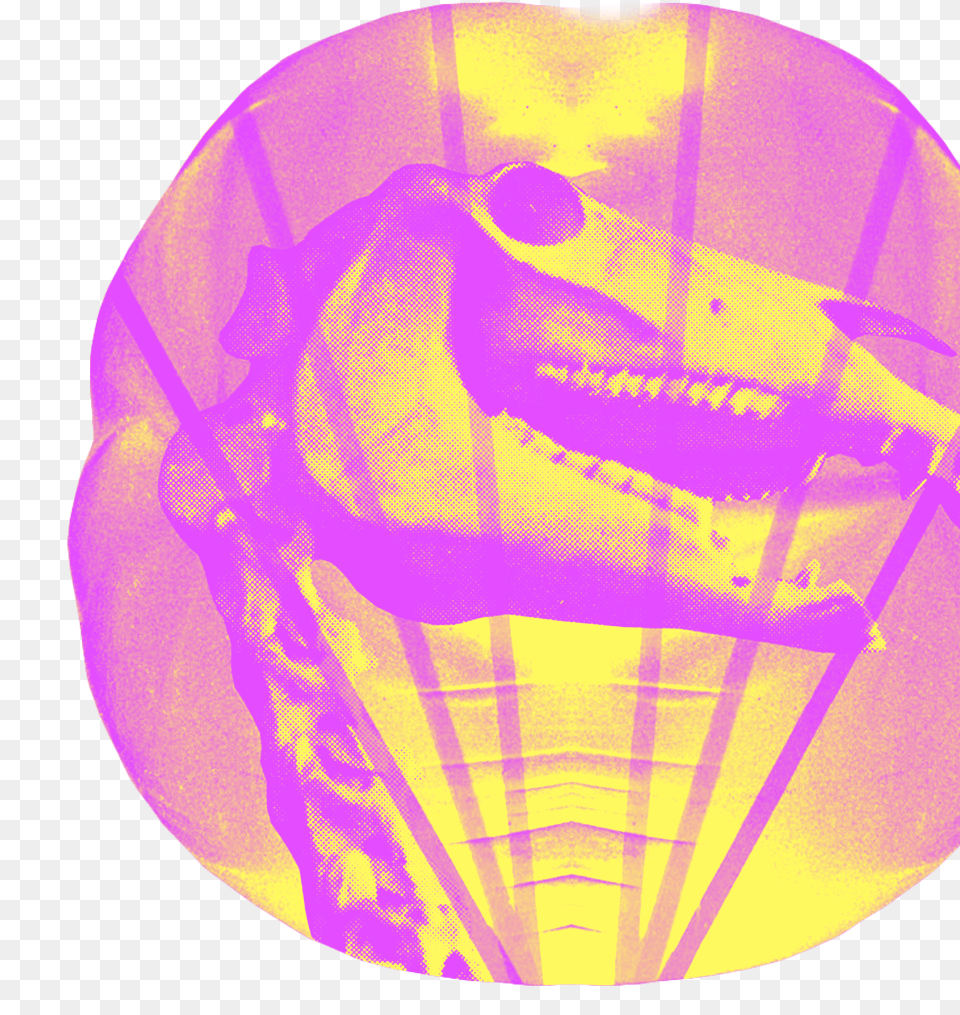 Graphic Design Free Png