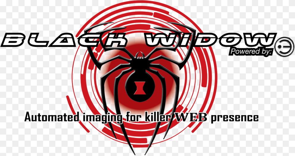 Graphic Design, Animal, Invertebrate, Spider, Black Widow Free Png