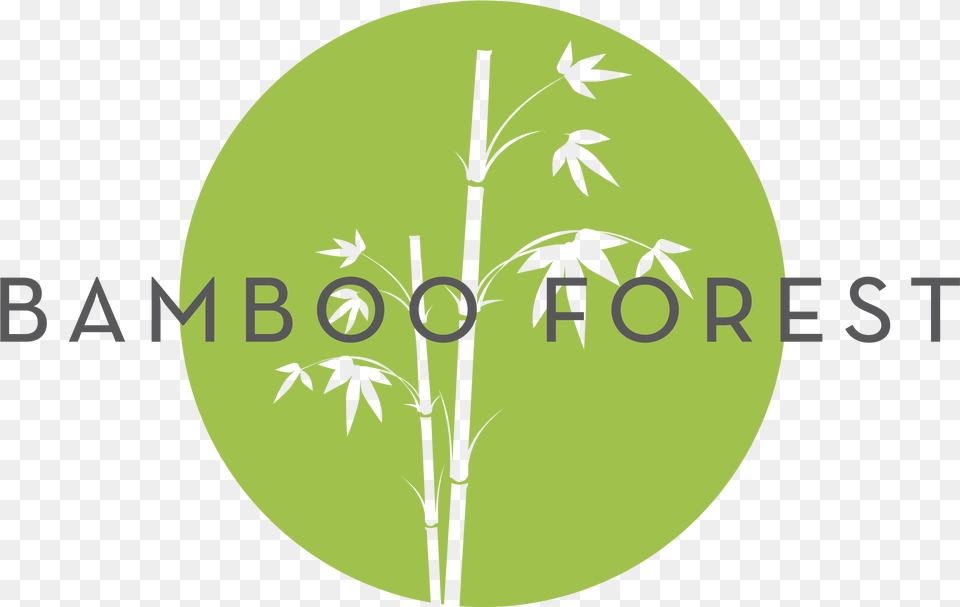 Graphic Design, Bamboo, Plant Free Png