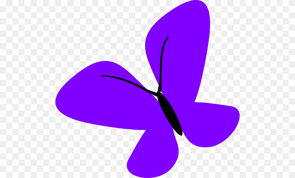 Graphic Design, Purple, Flower, Plant, Petal Free Png
