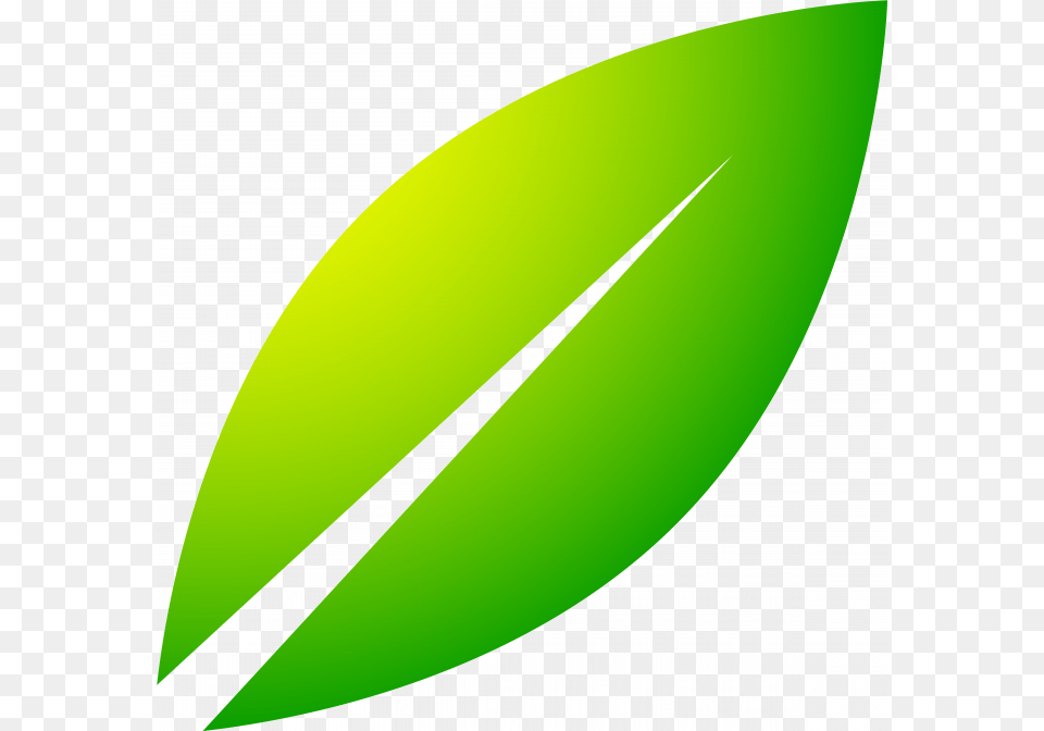 Graphic Design, Green, Leaf, Plant, Outdoors Png