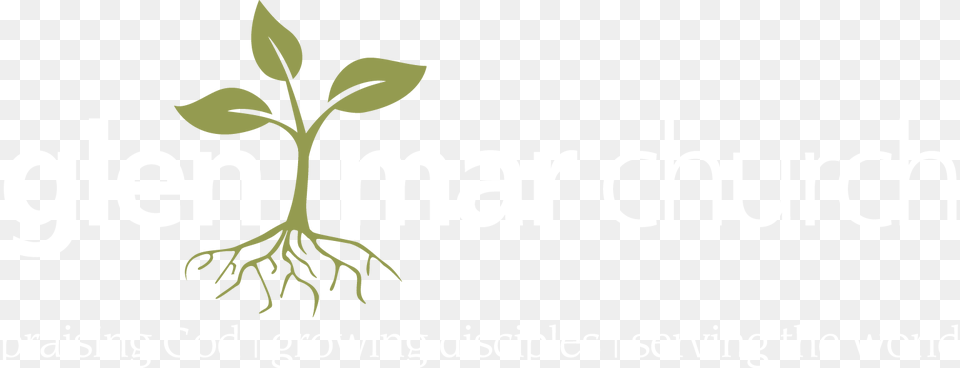 Graphic Design, Leaf, Plant, Root Png Image