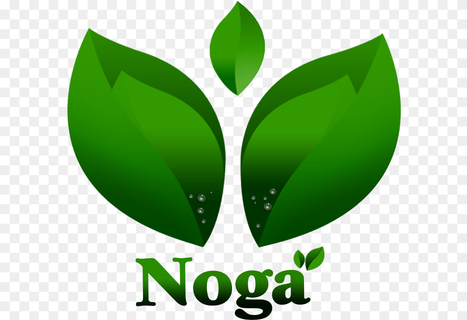 Graphic Design, Green, Leaf, Plant, Herbal Free Transparent Png