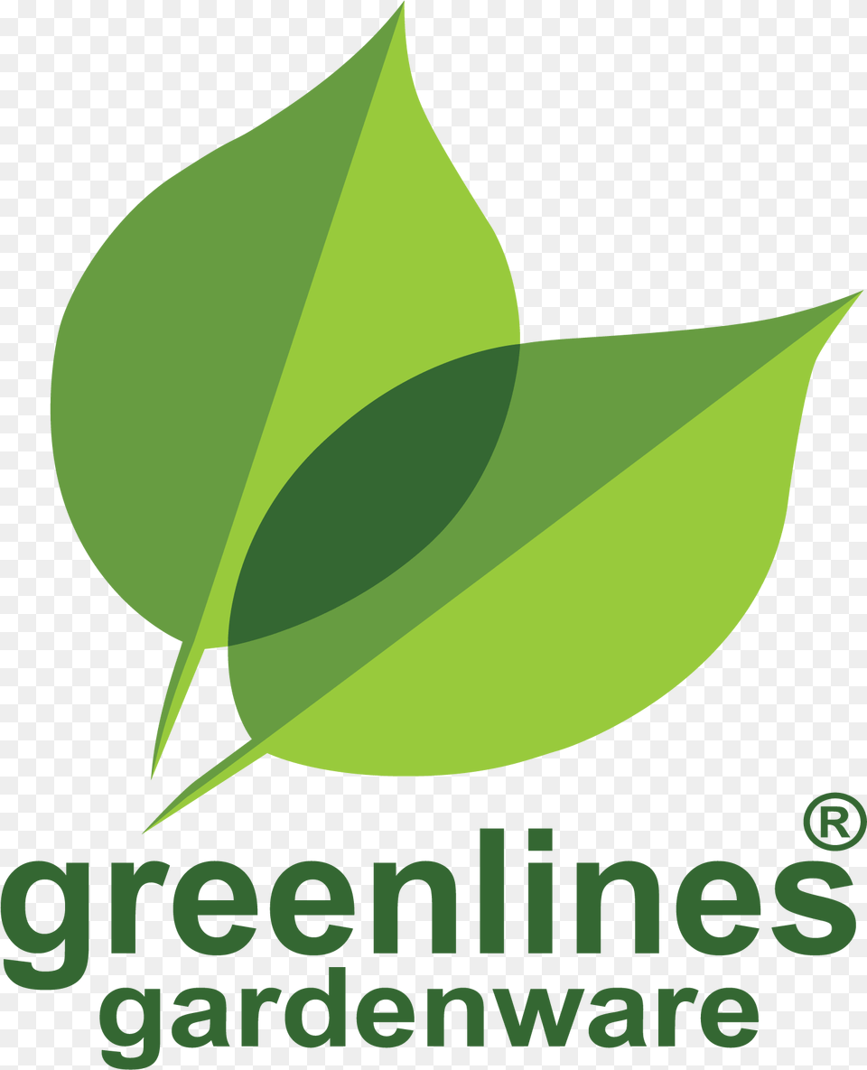Graphic Design, Plant, Green, Leaf, Herbal Free Transparent Png