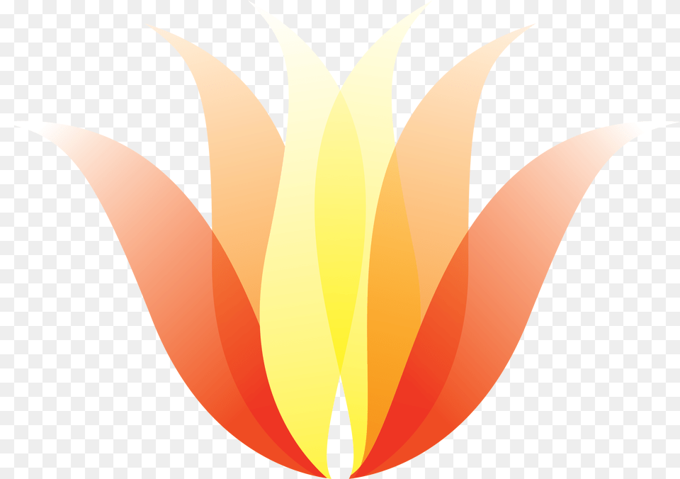 Graphic Design, Fire, Flame, Art, Logo Free Png Download