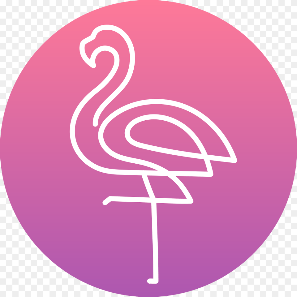 Graphic Design, Animal, Bird, Flamingo, Disk Free Png