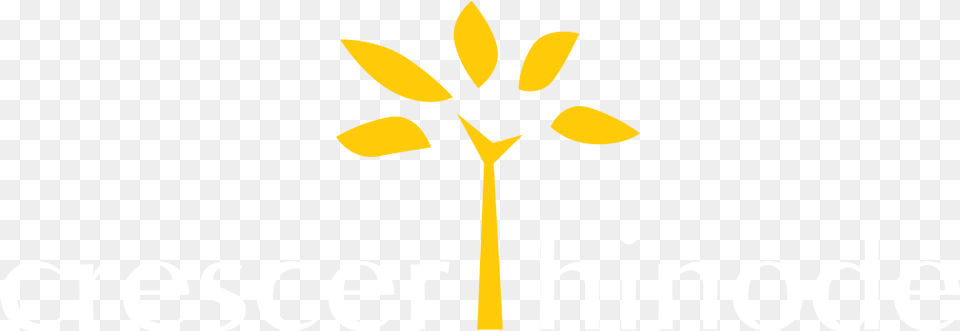 Graphic Design, Flower, Petal, Plant, Sunflower Png