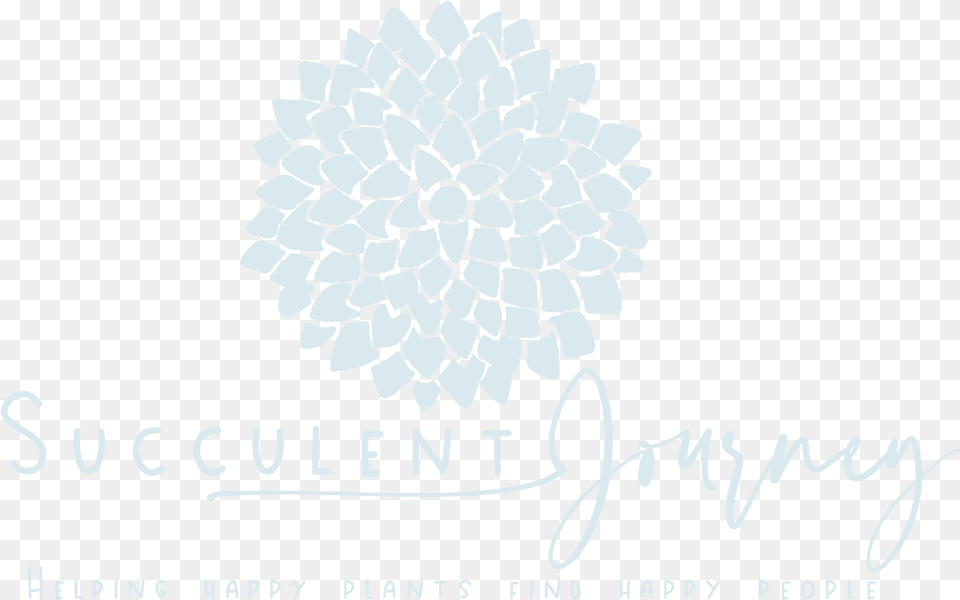 Graphic Design, Dahlia, Flower, Plant, Text Png Image