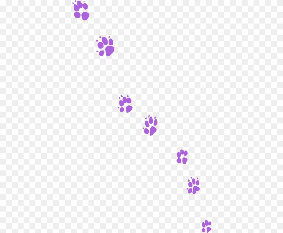 Graphic Design, Purple, Flower, Plant, Footprint Free Png Download