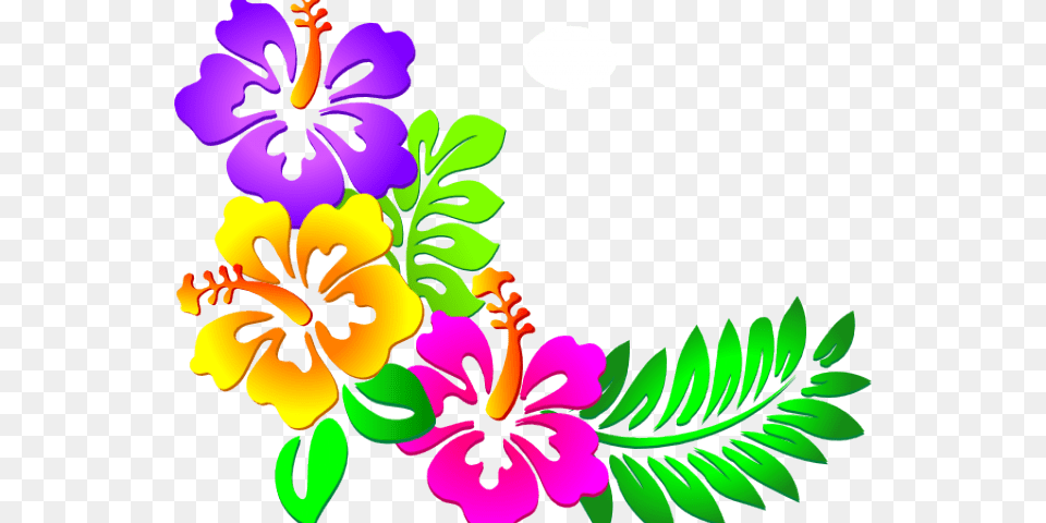 Graphic Design Art Flower Hd Imagenes De Flores Hawaianas, Plant, Graphics, Hibiscus, Floral Design Free Png Download