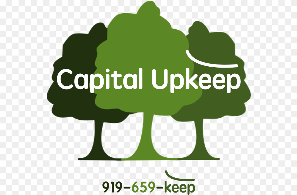 Graphic Design By Anna Lenkiewicz For Capital Upkeep, Green, Plant, Vegetation, Tree Png Image