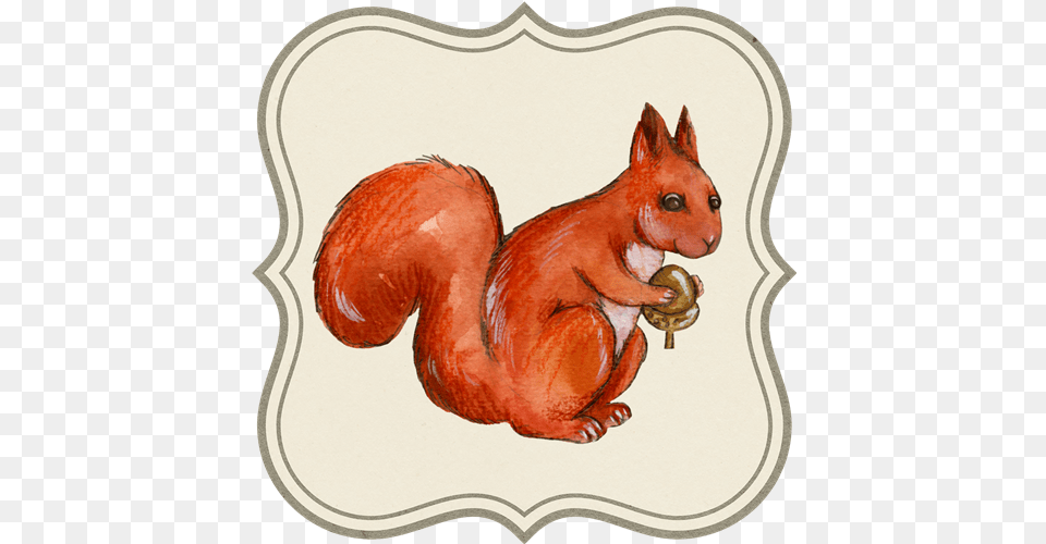 Graphic Design Watercolor Squirrel Squirrel, Animal, Bird, Chicken, Fowl Free Png Download
