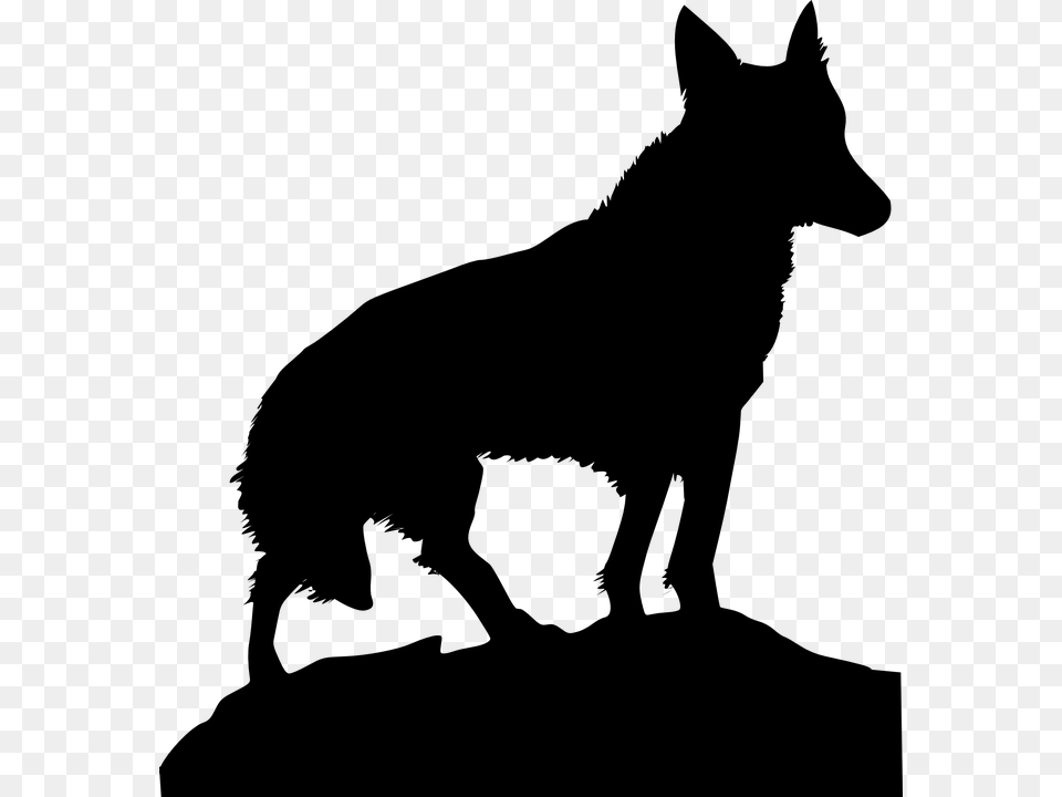 Graphic Download Arctic Wolf On Wolf Clip Art Gray Free Transparent Png