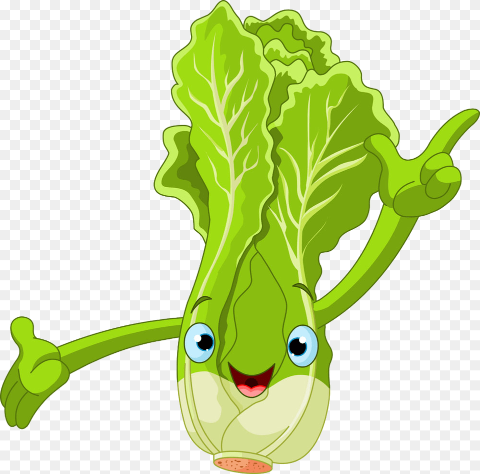 Graphic Download Cartoon Royalty Free Clip Art Chinese Lettuce Clip Art, Food, Produce, Leafy Green Vegetable, Plant Png