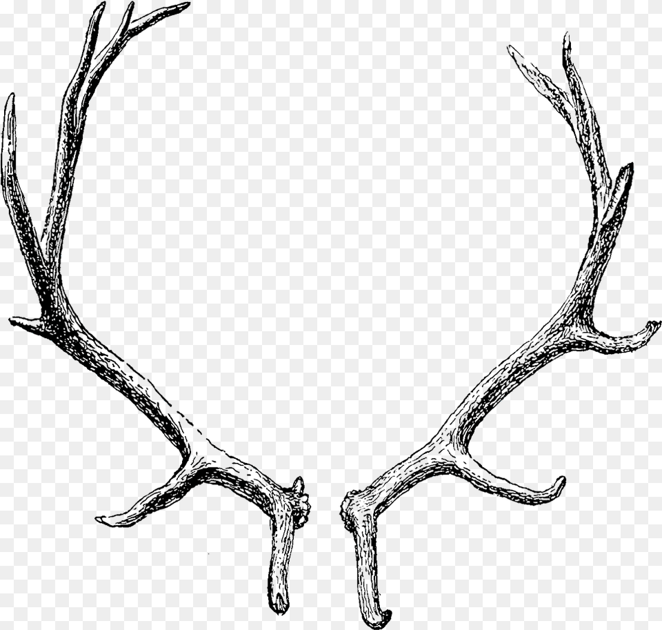 Graphic Library Subhelic Transparent Background Antler Clip Art, Nature, Night, Outdoors Free Png Download
