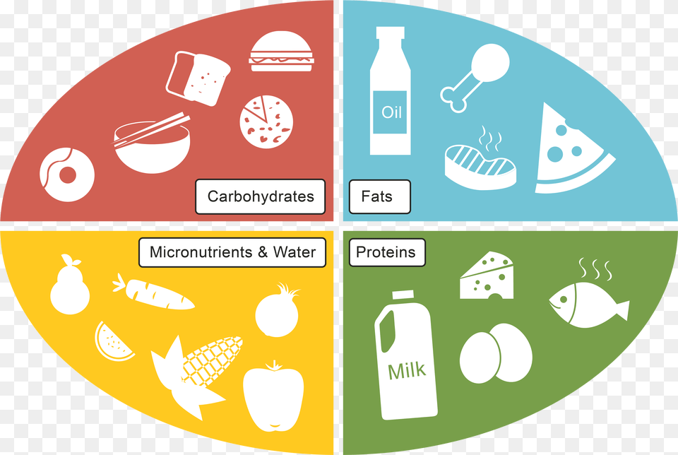 Graphic Freeuse Carbohydrate Drawing Protein Food Carbohydrates Fats And Proteins Transparent, Disk, Bottle Png Image