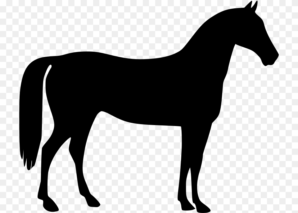 Graphic Freeuse Library 4h Horse, Gray Png Image