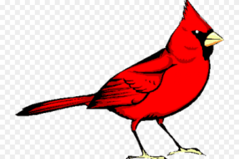 Graphic Freeuse Library Cardinal Clipart, Animal, Bird Free Transparent Png