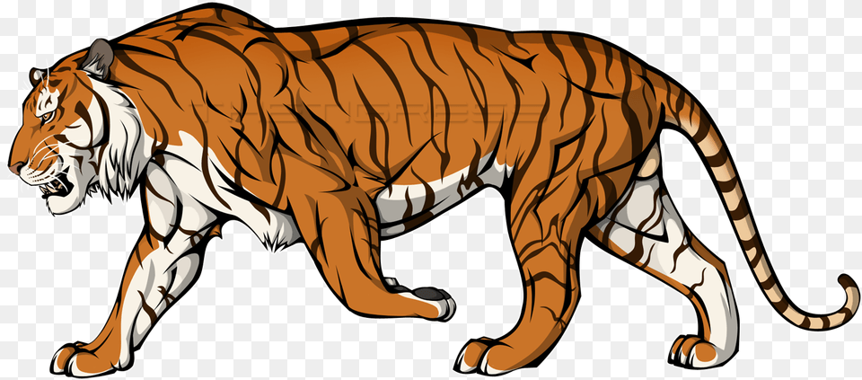 Graphic Freeuse Old Art Cell By Thetigress Fur Affinity Tiger Art Transparent, Animal, Mammal, Wildlife Free Png Download