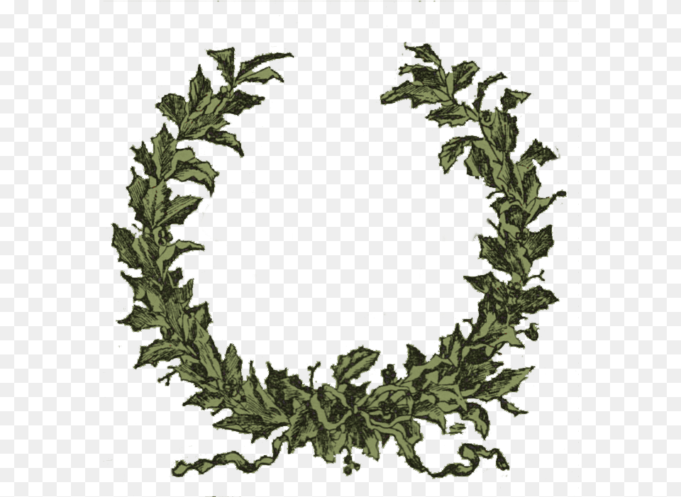 Graphic Freeuse Stock Christmas Vintage Holly Wreath, Green, Leaf, Plant, Pattern Png Image