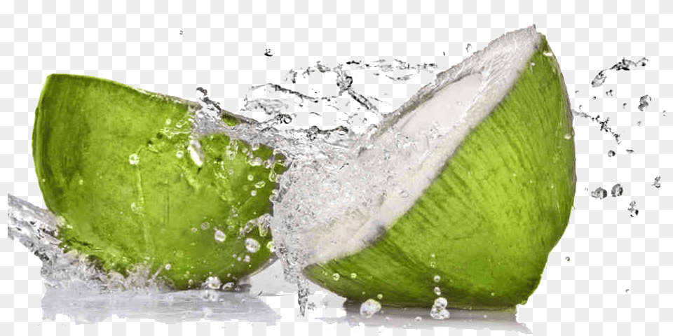 Graphic Freeuse Stock Coconut Tender Coconut Fresh, Food, Fruit, Plant, Produce Png