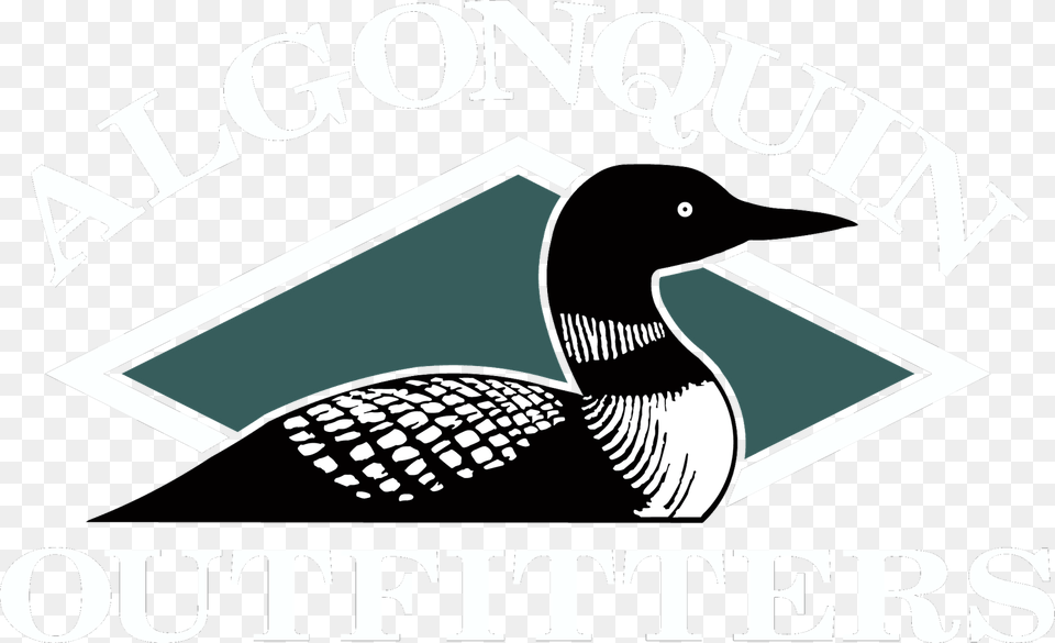 Graphic Library Badger S Blog February Another Great Loon Clip Art Silhouette, Animal, Bird, Goose, Waterfowl Png Image