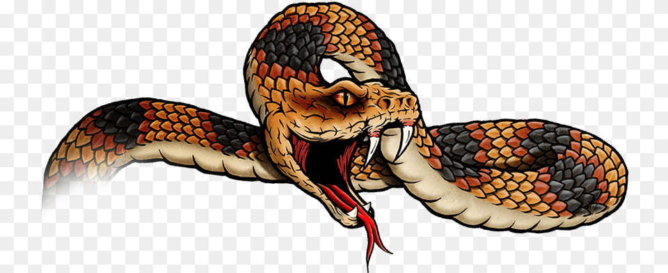 Graphic Library Download Blackwater Drift Branding Australian Brown Snakes, Animal, Reptile, Snake Free Png
