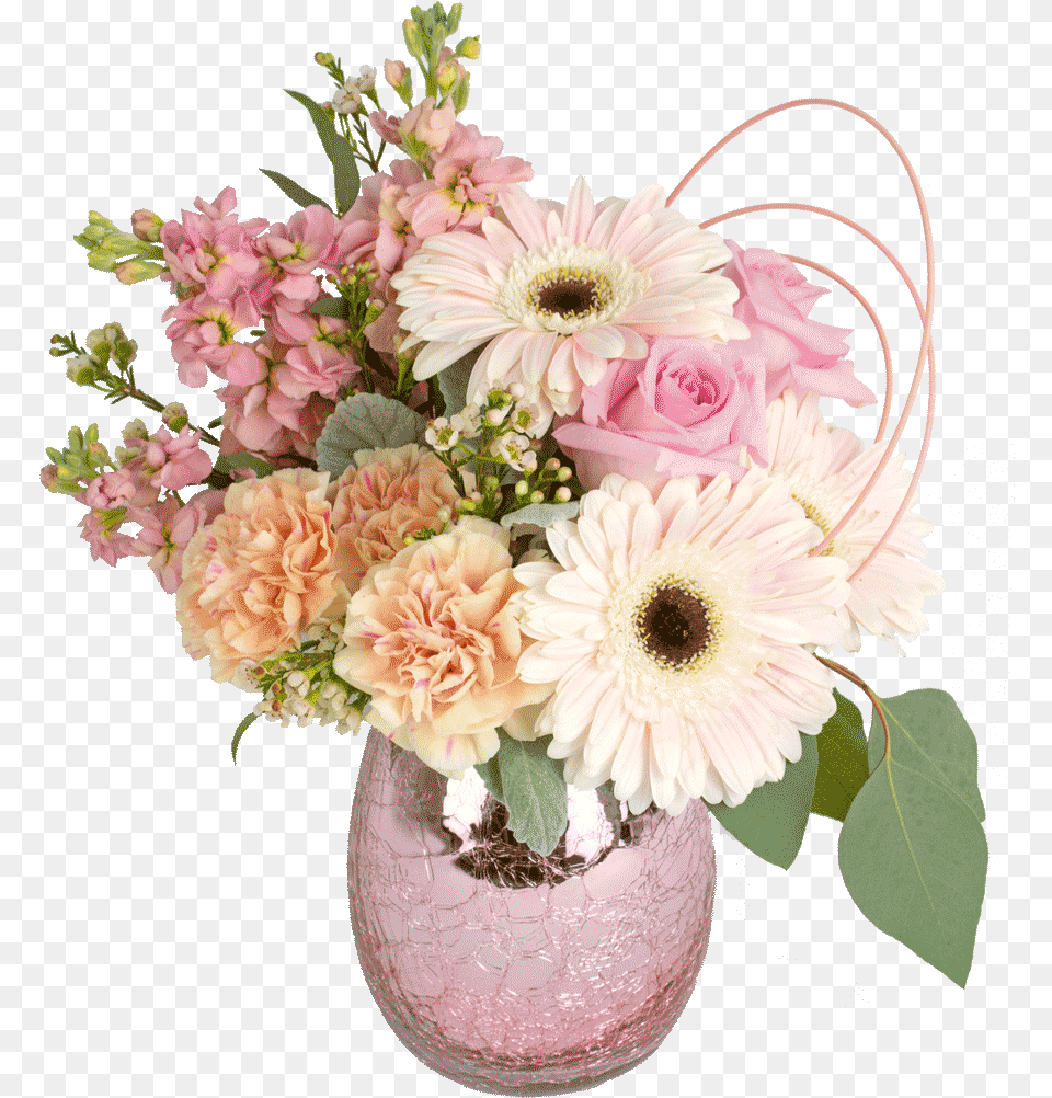 Graphic Library Flower Cut Flowers Transvaal Flower Bouquet, Flower Arrangement, Flower Bouquet, Plant, Art Png