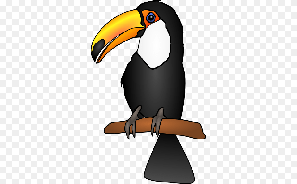 Graphic Library Stock Clip Art At Clker Com Vector Toucan Clipart, Animal, Beak, Bird, Person Free Transparent Png