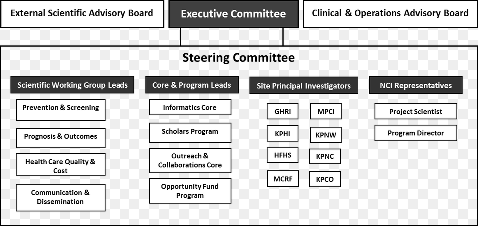 Graphic Of The Crn Organizational Chart Steering Committee Org Chart, Diagram, Uml Diagram Png Image