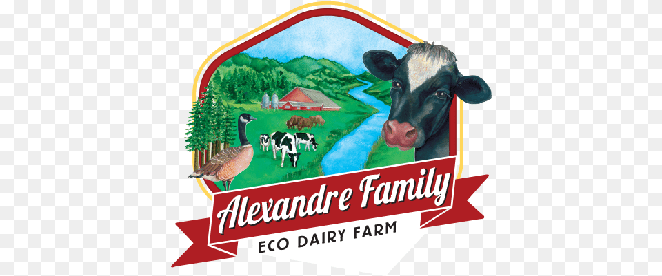 Graphic Regime Branding Digital Design Dairy Farm Family Farm Logos, Animal, Bird, Cattle, Cow Free Transparent Png
