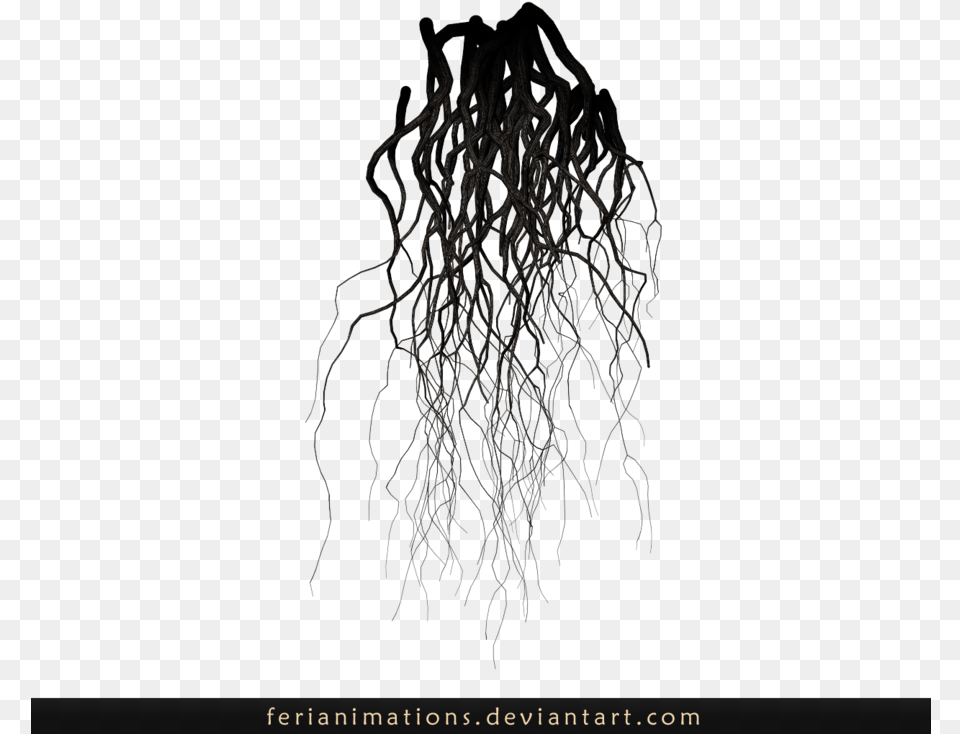 Graphic Royalty Roots Transparent Plant Transparent Background Roots Clipart, Person, Root Free Png Download
