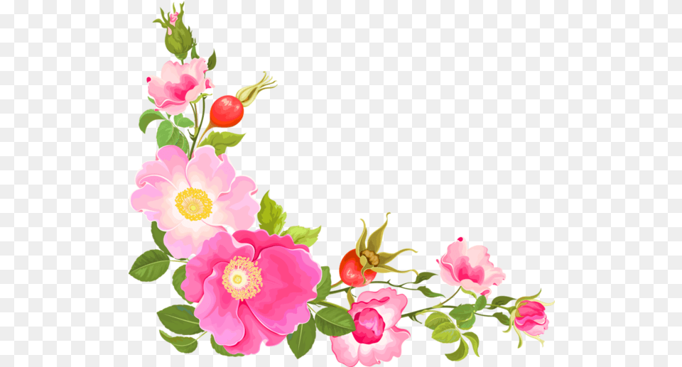 Graphic Royalty Corner Files Flower Corner Design, Anemone, Plant, Petal, Rose Free Png Download