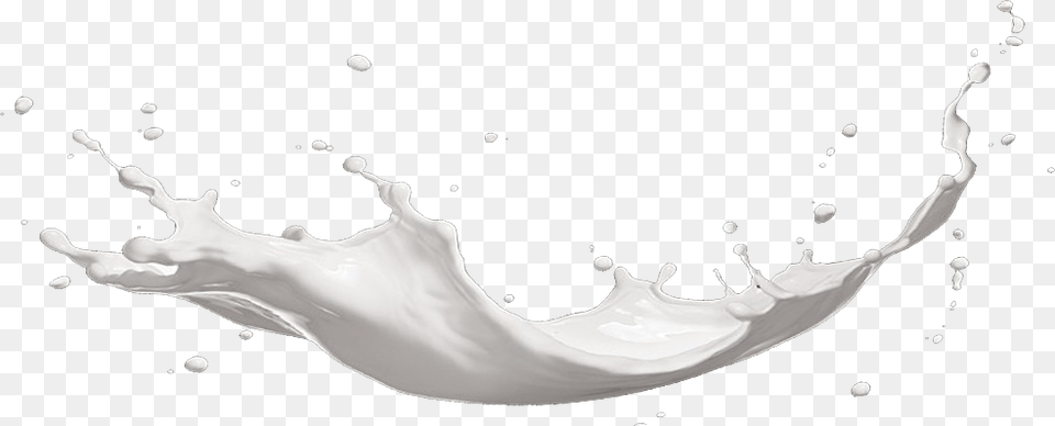 Graphic Royalty Library Best United Shakes Sperm Whale, Beverage, Milk, Food, Dairy Free Transparent Png