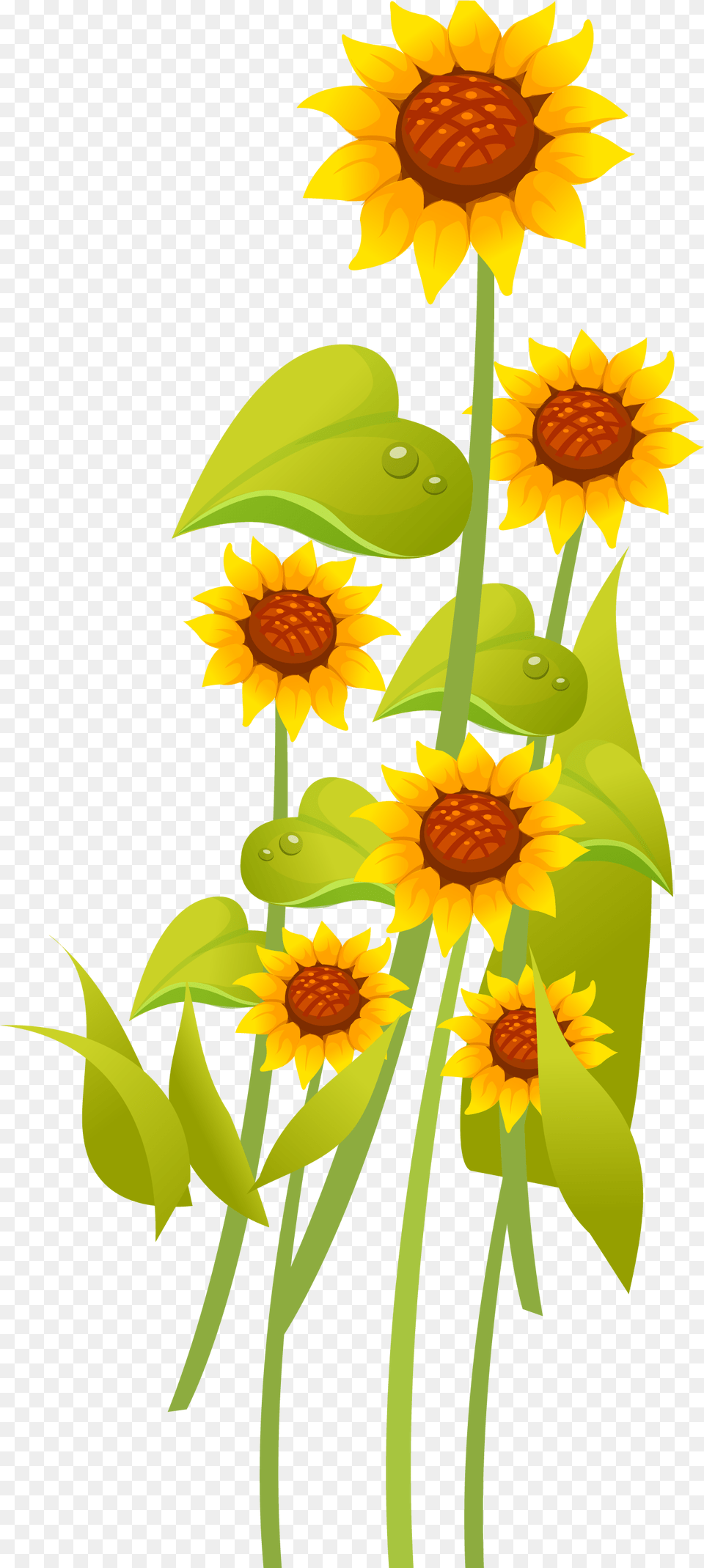 Graphic Royalty Stock Common Cartoon Transprent, Flower, Plant, Sunflower, Daisy Free Transparent Png