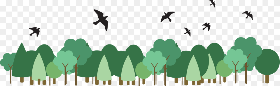 Graphic Showing Birds Flying Above Trees Birds Flying Above The Trees, Animal, Bird, Wildlife Png Image